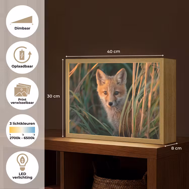Lightbox - Wandlamp - Vos - Oranje - Gras — 10