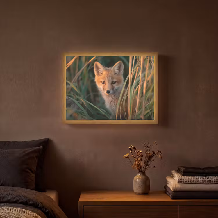Lightbox - Wandlamp - Vos - Oranje - Gras — 3