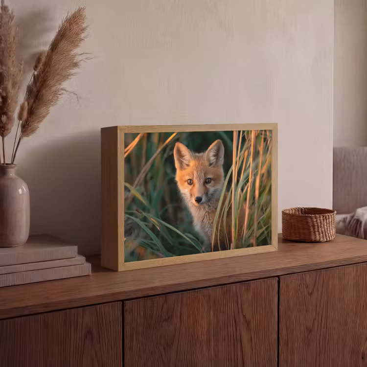 Lightbox - Wandlamp - Vos - Oranje - Gras — 4