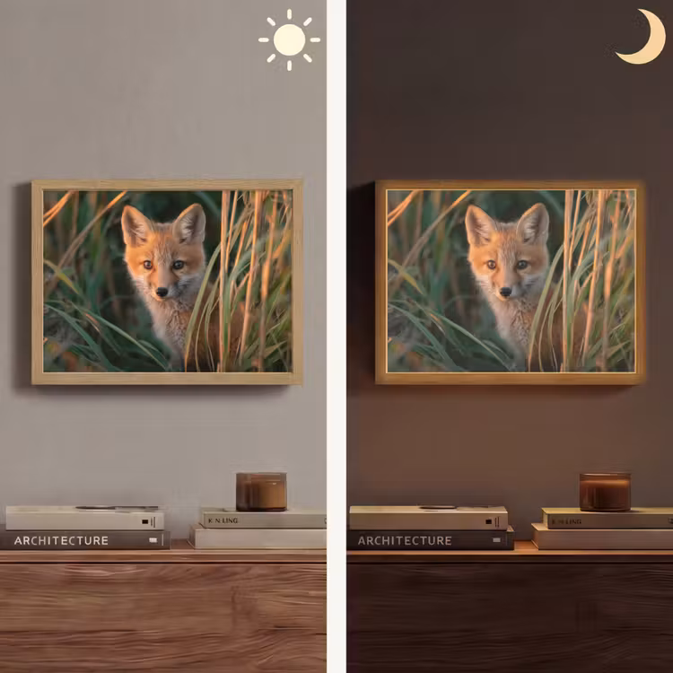 Lightbox - Wandlamp - Vos - Oranje - Gras — 6