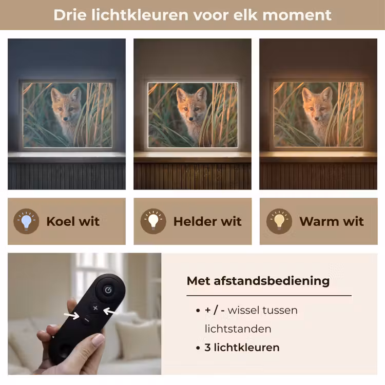 Lightbox - Wandlamp - Vos - Oranje - Gras — 8