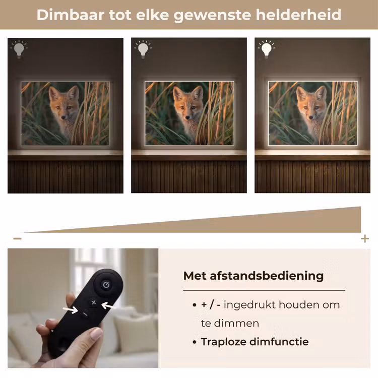 Lightbox - Wandlamp - Vos - Oranje - Gras — 9
