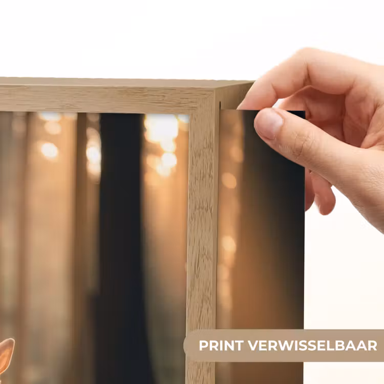 Lightbox - Wandlamp - Konijn - Bos - Zonnestralen — 5