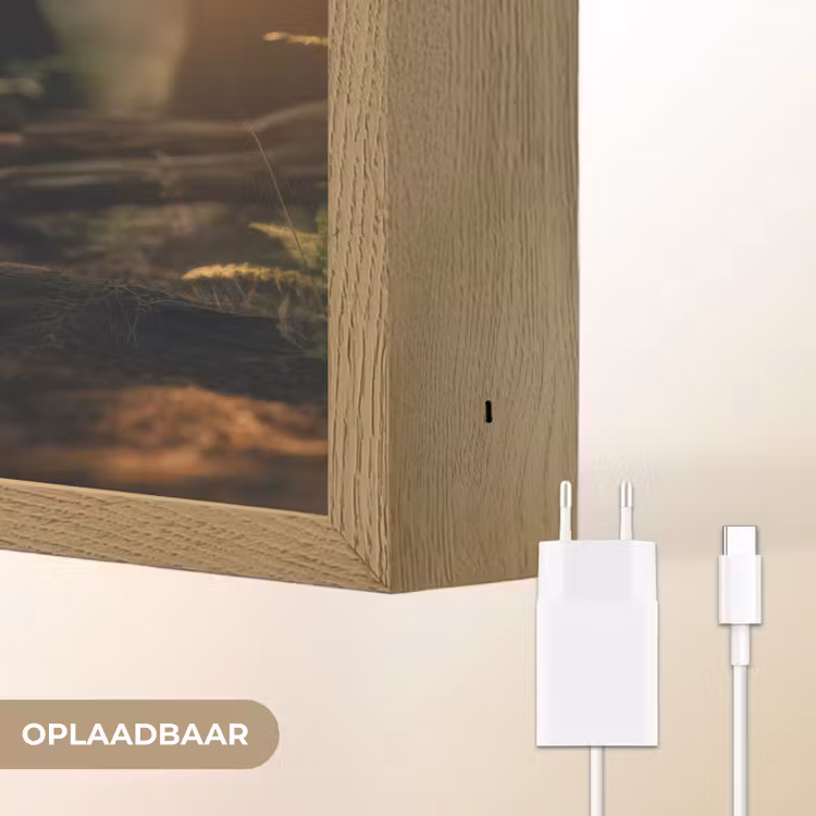 Lightbox - Wandlamp - Konijn - Bos - Zonnestralen — 7