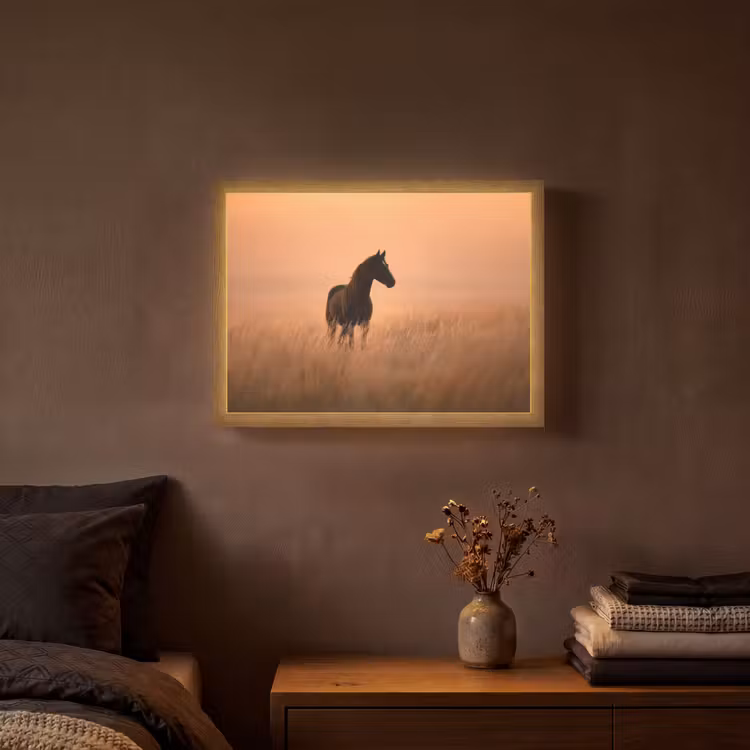 Lightbox - Wandlamp - Paard - Grasveld - Zonsondergang — 3