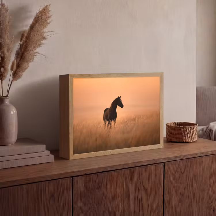 Lightbox - Wandlamp - Paard - Grasveld - Zonsondergang — 4