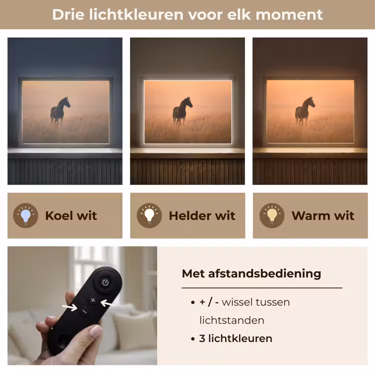Lightbox - Wandlamp - Paard - Grasveld - Zonsondergang — 8