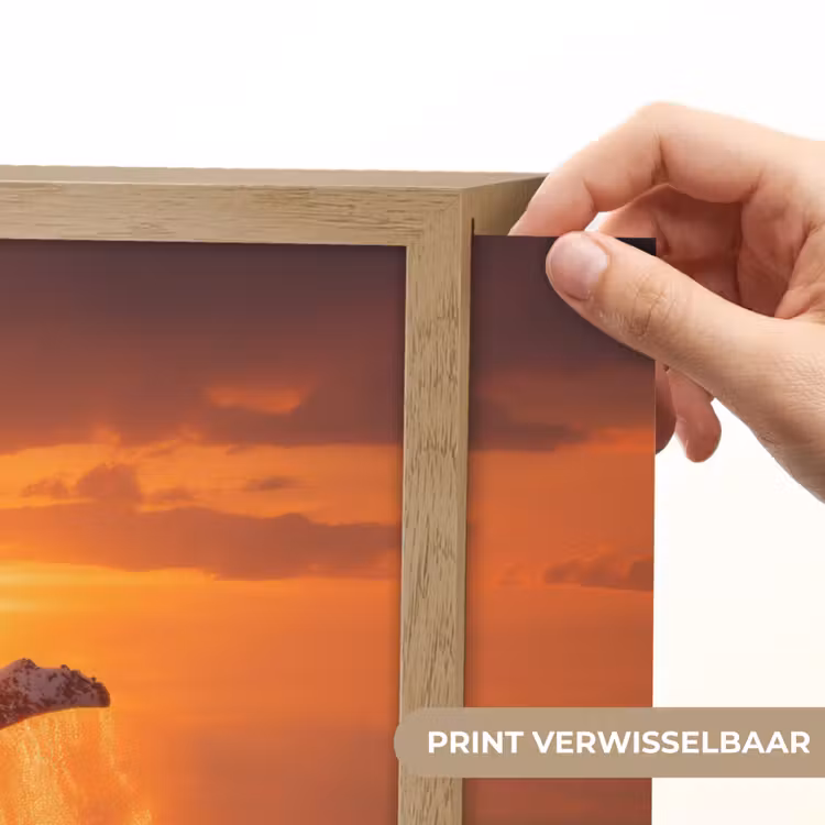 Lightbox - Wandlamp - Walvis - Zon - Zee — 5