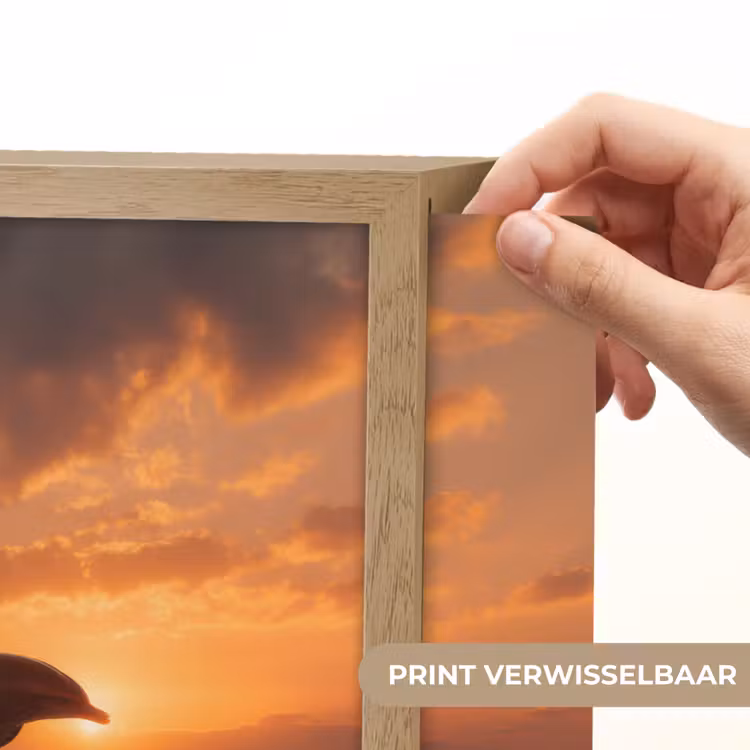 Lightbox - Wandlamp - Dolfijnen - Zee - Realistisch — 5