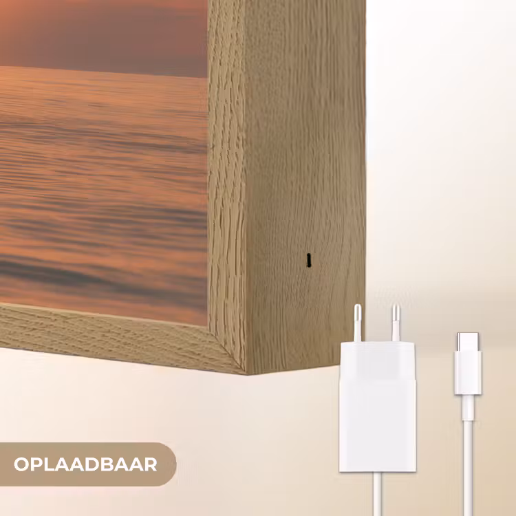 Lightbox - Wandlamp - Dolfijnen - Zee - Realistisch — 7