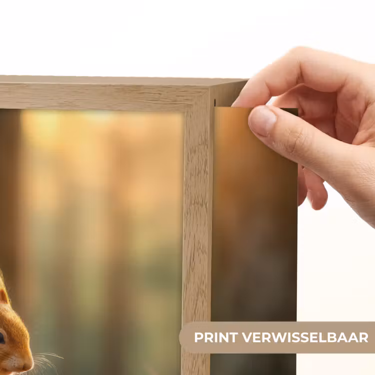 Lightbox - Wandlamp - Eekhoorn - Nootje - Gras — 5