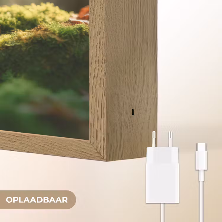 Lightbox - Wandlamp - Eekhoorn - Nootje - Gras — 7