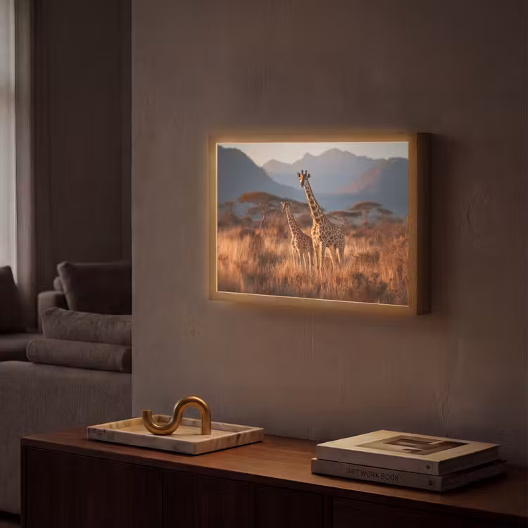 Lightbox - Wandlamp - Giraffen - Hoog gras - Acaciabomen — 2