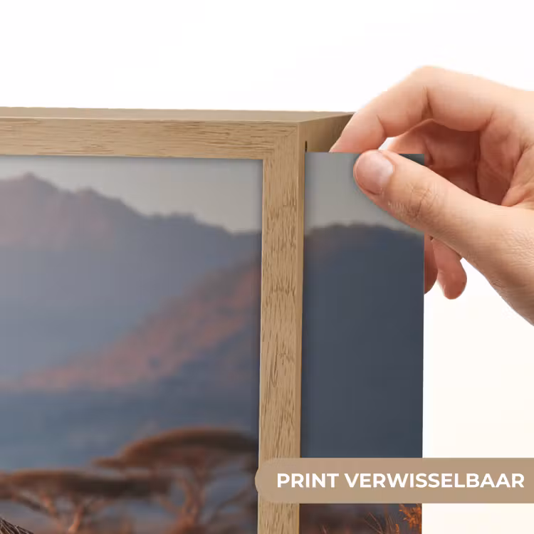 Lightbox - Wandlamp - Giraffen - Hoog gras - Acaciabomen — 5
