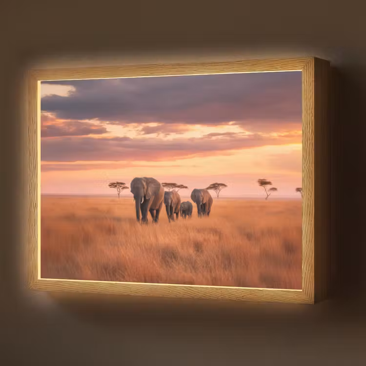 Lightbox - Wandlamp - Groep olifanten - Open vlakte - Zon — 1