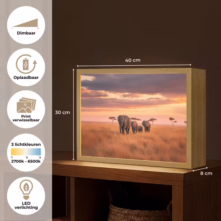 Lightbox - Wandlamp - Groep olifanten - Open vlakte - Zon — 10