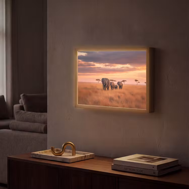 Lightbox - Wandlamp - Groep olifanten - Open vlakte - Zon — 2