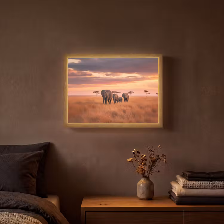 Lightbox - Wandlamp - Groep olifanten - Open vlakte - Zon — 3
