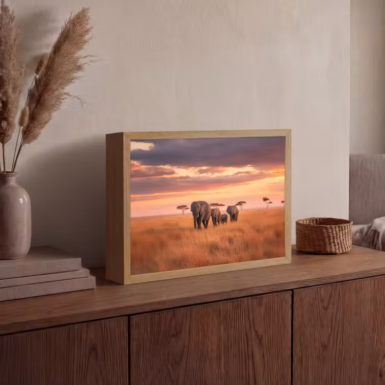 Lightbox - Wandlamp - Groep olifanten - Open vlakte - Zon — 4
