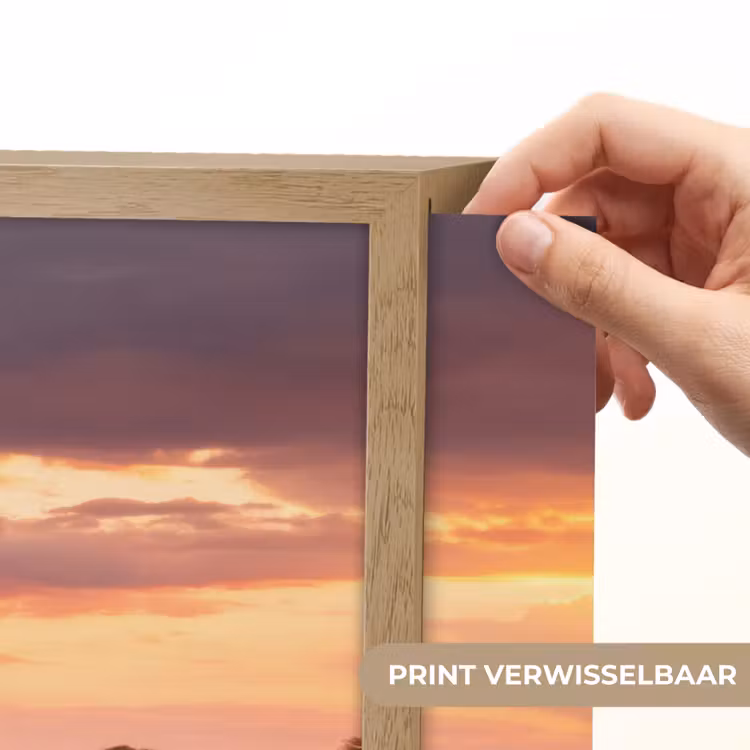 Lightbox - Wandlamp - Groep olifanten - Open vlakte - Zon — 5