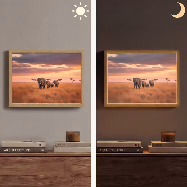 Lightbox - Wandlamp - Groep olifanten - Open vlakte - Zon — 6