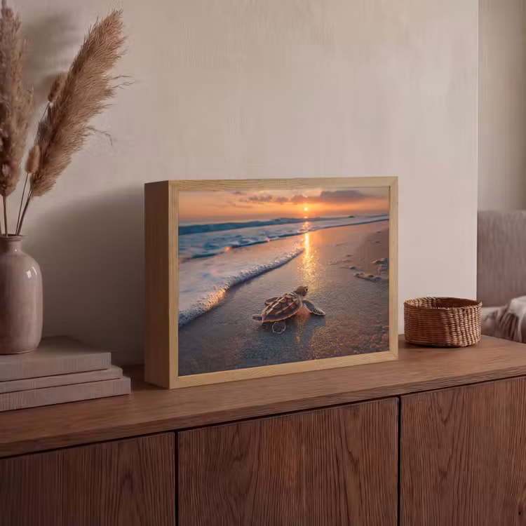 Lightbox - Wandlamp - Schildpad - strand - Zonsondergang — 4