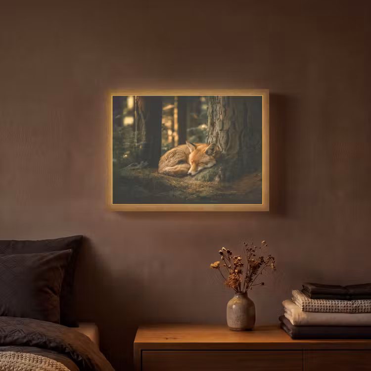 Lightbox - Wandlamp - Vos - Bos - Slapen — 3