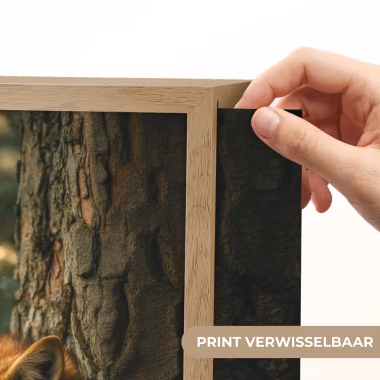 Lightbox - Wandlamp - Vos - Bos - Slapen — 5