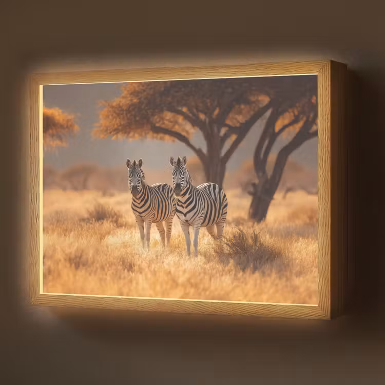Lightbox - Wandlamp - Zebra's - Savannelandschap - Gras — 1