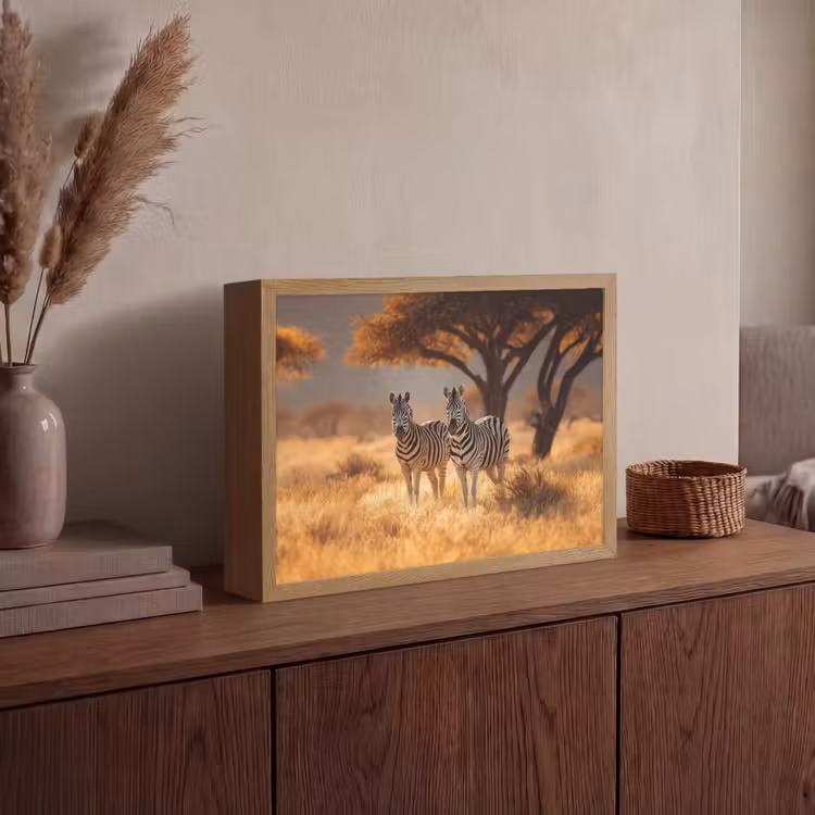 Lightbox - Wandlamp - Zebra's - Savannelandschap - Gras — 4