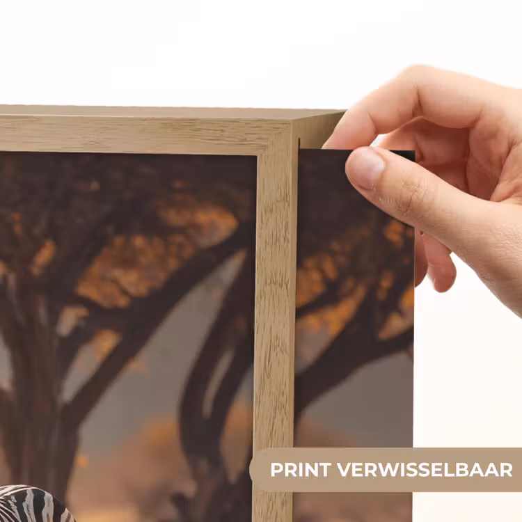Lightbox - Wandlamp - Zebra's - Savannelandschap - Gras — 5