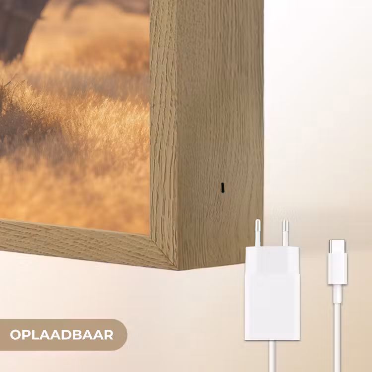 Lightbox - Wandlamp - Zebra's - Savannelandschap - Gras — 7