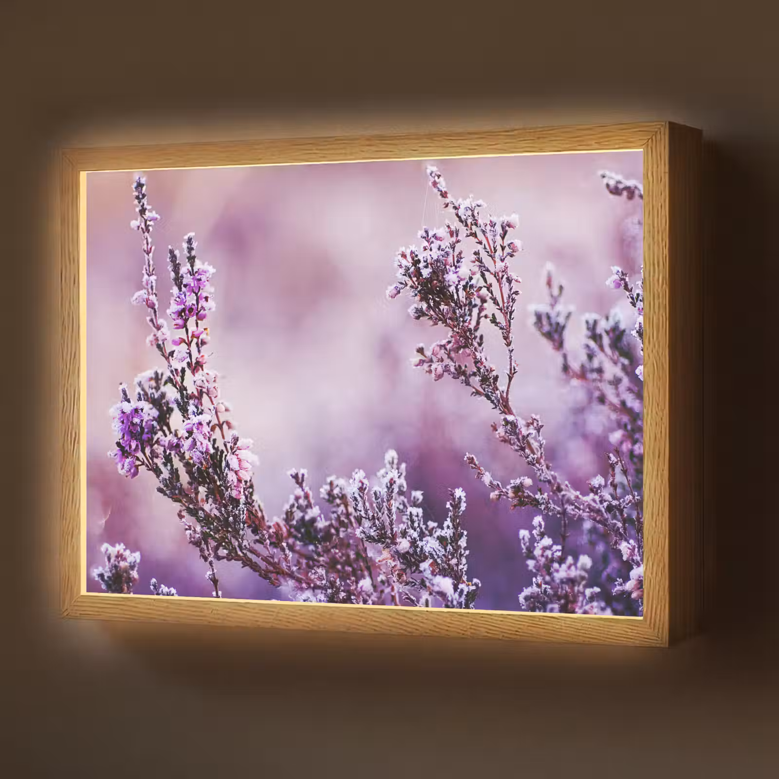 Lightbox - Wandlamp - Lavendel - Winter - Bloemen - Paars — 1