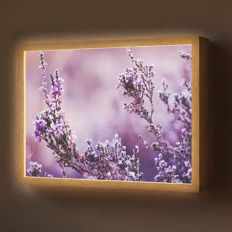 Lightbox - Wandlamp - Lavendel - Winter - Bloemen - Paars — 1