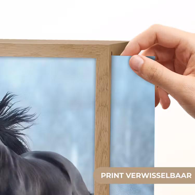 Lightbox - Wandlamp - Paarden - Winter - Dieren - Natuur - Sneeuw — 5