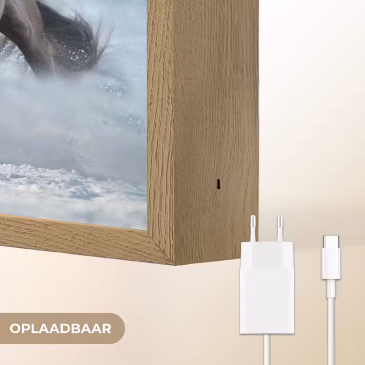 Lightbox - Wandlamp - Paarden - Winter - Dieren - Natuur - Sneeuw — 7
