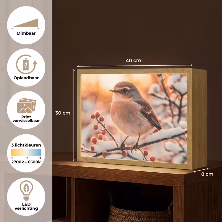 Lightbox - Wandlamp - Vogel - Tak - Winter - Dieren - Sneeuw — 10
