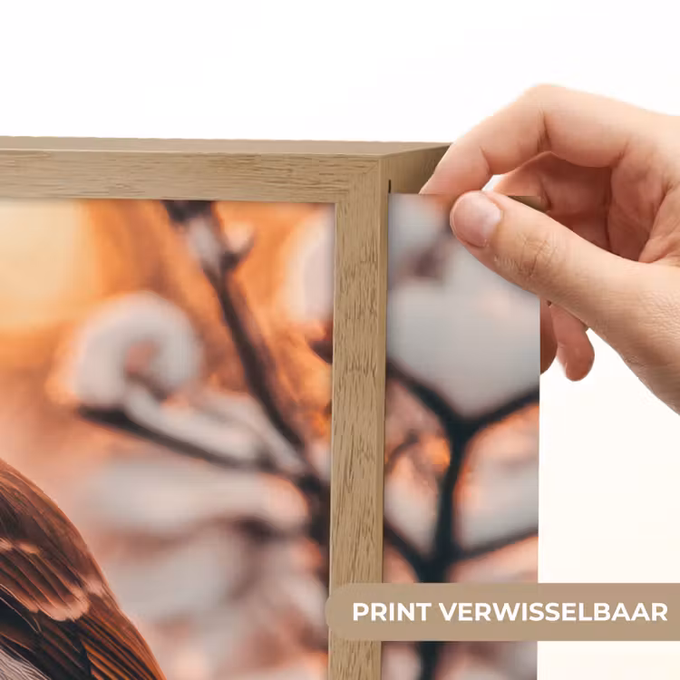 Lightbox - Wandlamp - Vogel - Tak - Winter - Dieren - Sneeuw — 5