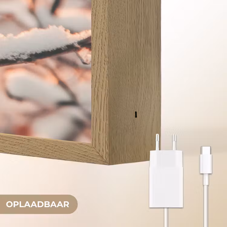 Lightbox - Wandlamp - Vogel - Tak - Winter - Dieren - Sneeuw — 7