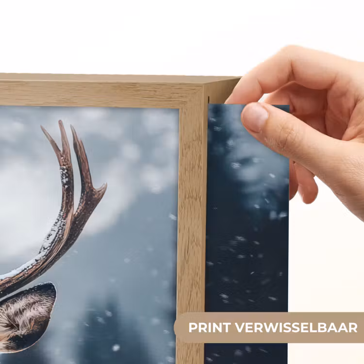 Lightbox - Wandlamp - Hert - Dieren - Landschap - Winter - Sneeuw — 5