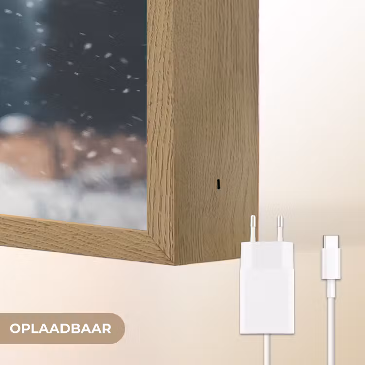 Lightbox - Wandlamp - Hert - Dieren - Landschap - Winter - Sneeuw — 7