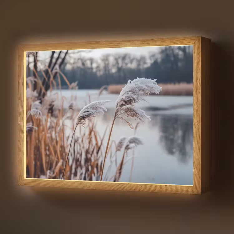 Lightbox - Wandlamp - Riet - Gras - Natuur - Winter - Meer — 1