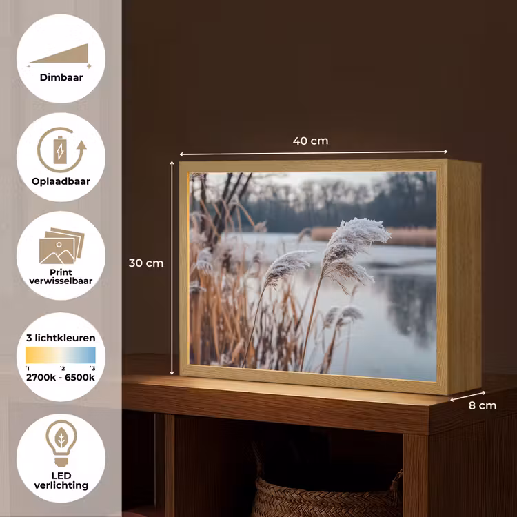 Lightbox - Wandlamp - Riet - Gras - Natuur - Winter - Meer — 10