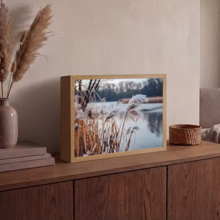 Lightbox - Wandlamp - Riet - Gras - Natuur - Winter - Meer — 4