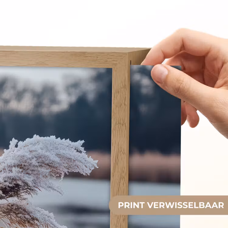 Lightbox - Wandlamp - Riet - Gras - Natuur - Winter - Meer — 5