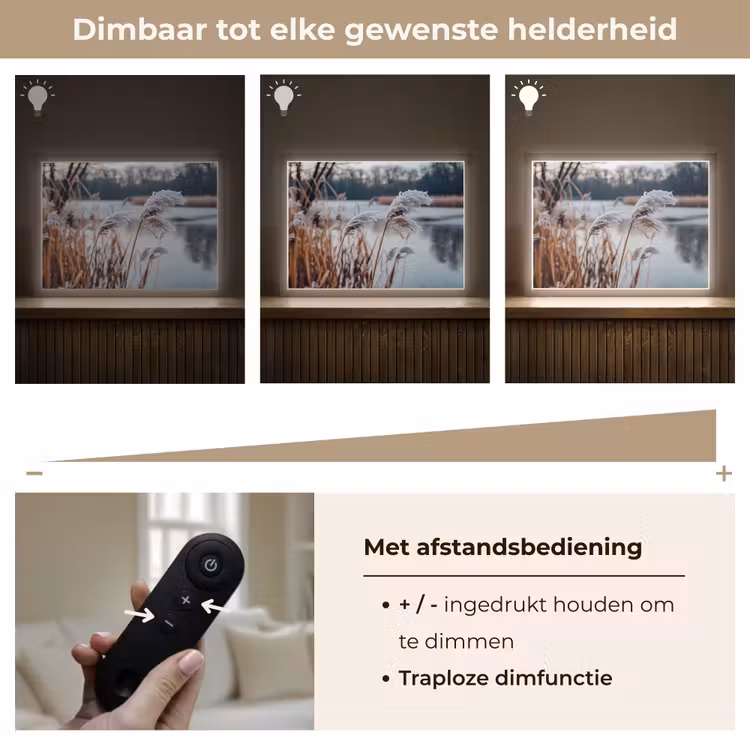 Lightbox - Wandlamp - Riet - Gras - Natuur - Winter - Meer — 9
