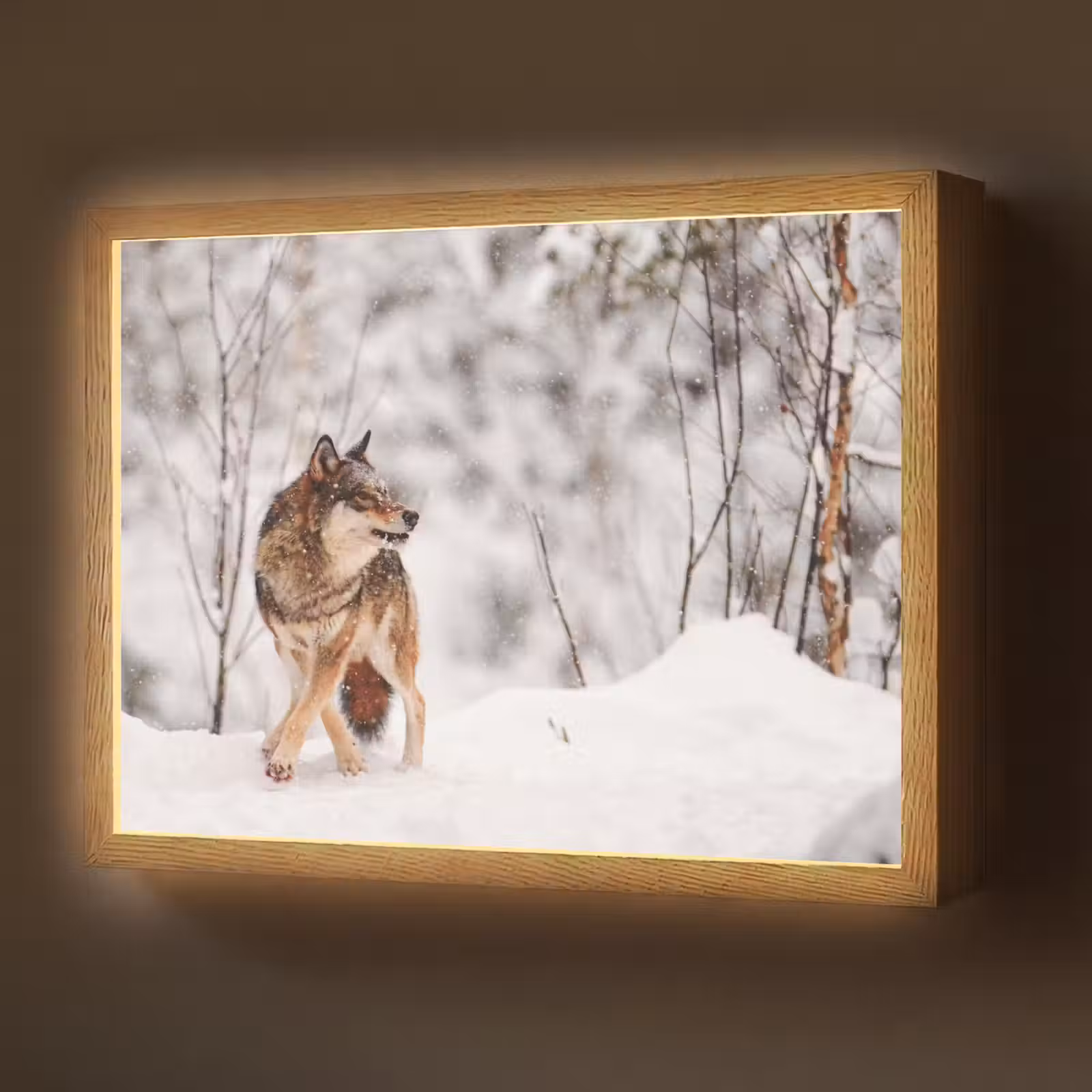 Lightbox - Wandlamp - Wolf - Winter - Sneeuw - Natuur - Dieren — 1