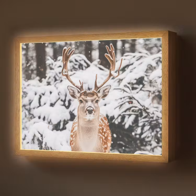 Lightbox - Wandlamp - Hert - Sneeuw - Winter - Bos - Dieren — 1