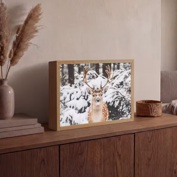 Lightbox - Wandlamp - Hert - Sneeuw - Winter - Bos - Dieren — 4