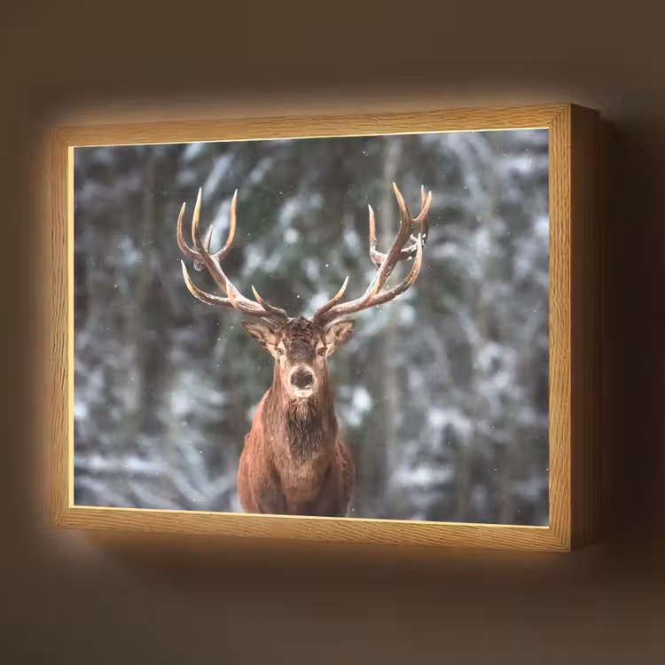 Lightbox - Wandlamp - Hert - Winter - Sneeuw - Bos - Natuur - Dier — 1
